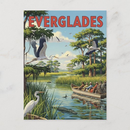  Everglades National Park Florida Reizen Briefkaart (Voorkant)