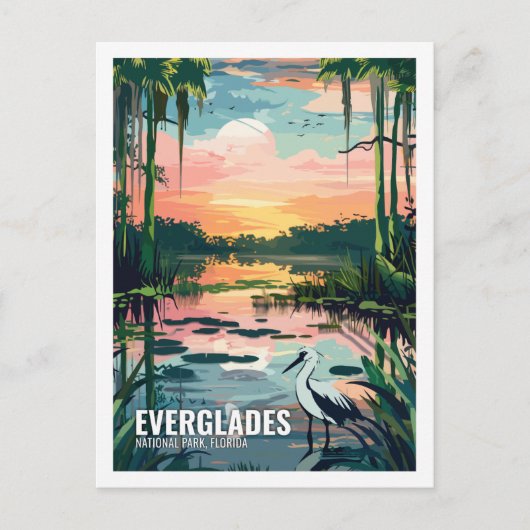 Everglades National Park Florida USA Briefkaart (Voorkant)