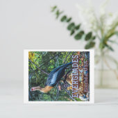 EVERGLADES NATIONAL PARK - FLORIDA VERENIGDE STATE BRIEFKAART (Staand voorkant)