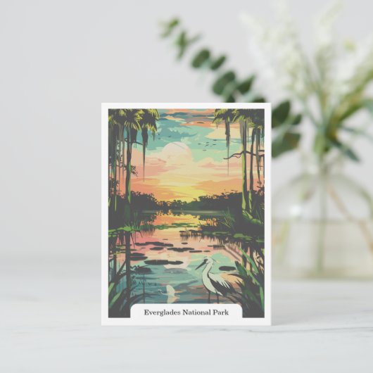 Everglades National Park, Florida, Verenigde State Briefkaart (Staand voorkant)