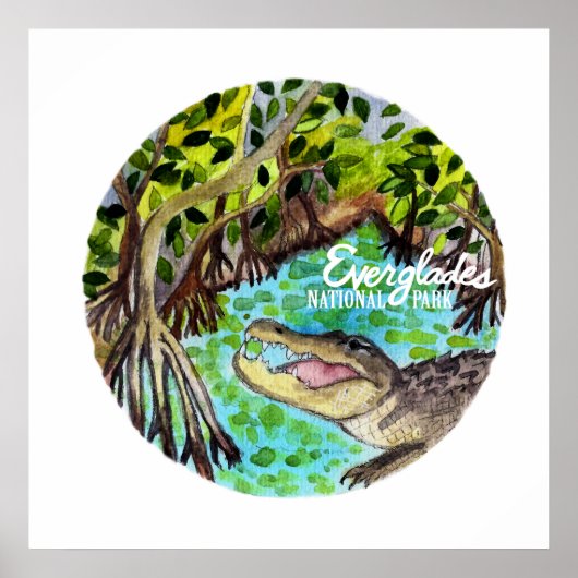 Everglades National Park Florida Waterverf Poster (Voorkant)