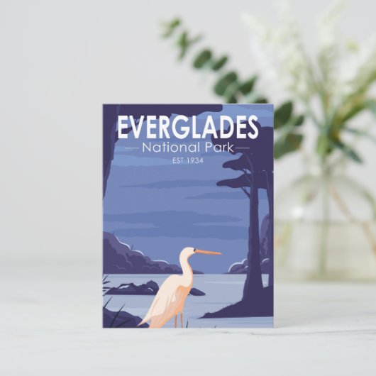 Everglades National Park Night Egret  Briefkaart (Staand voorkant)