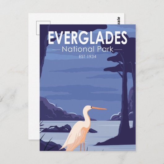 Everglades National Park Night Egret Briefkaart (Voorkant / Achterkant)