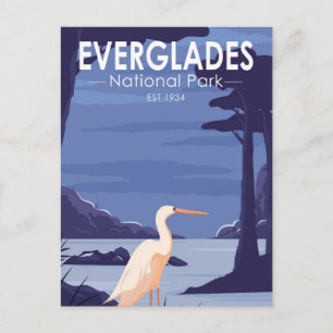 Everglades National Park Night Egret  Briefkaart