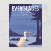 Everglades National Park Night Egret Briefkaart (Voorkant)