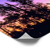 Everglades National Park, Pinelands Area, Florida Poster (Hoek)
