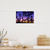 Everglades National Park, Pinelands Area, Florida Poster (Keuken)