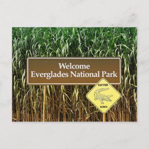 Everglades National Park Sign, Gator Crossing Briefkaart