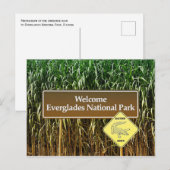 Everglades National Park Sign, Gator Crossing Briefkaart (Voorkant / Achterkant)