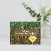 Everglades National Park Sign, Gator Crossing Briefkaart (Staand voorkant)