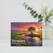 Everglades National Park VS Briefkaart (Staand voorkant)