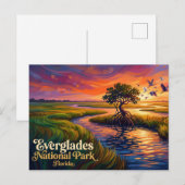 Everglades National Park VS Briefkaart (Voorkant / Achterkant)