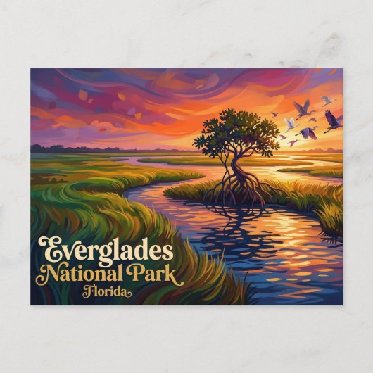 Everglades National Park VS Briefkaart (Voorkant)
