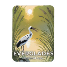 Everglades National Park | Watercolor Ooievaar