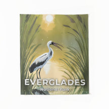 Everglades National Park | Waterverf Ooievaar