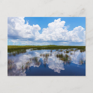 Everglades Natural Landscape Briefkaart