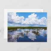 Everglades Natural Landscape Briefkaart (Voorkant / Achterkant)