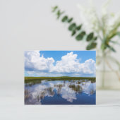 Everglades Natural Landscape Briefkaart (Staand voorkant)