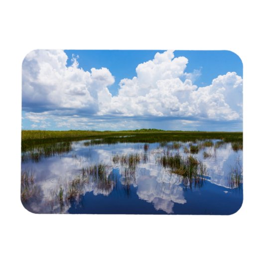 Everglades Natural Landscape Magneet (Horizontaal)