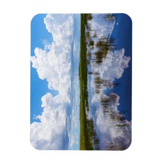 Everglades Natural Landscape Magneet (Verticaal)