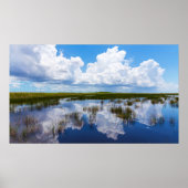 Everglades Natural Landscape Poster (Voorkant)