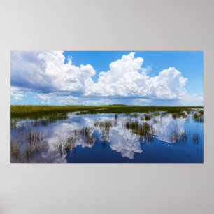Everglades Natural Landscape Poster