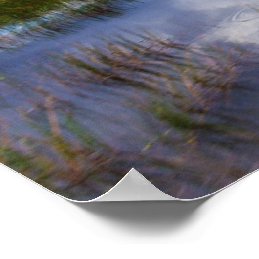 Everglades Natural Landscape Poster (Hoek)