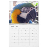 Everglades Outpost Calendar Kalender (Mar 2027)