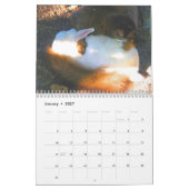 Everglades Outpost Calendar Kalender (Jan 2027)