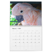 Everglades Outpost Calendar Kalender (Feb 2027)