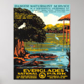 Everglades Poster (Voorkant)