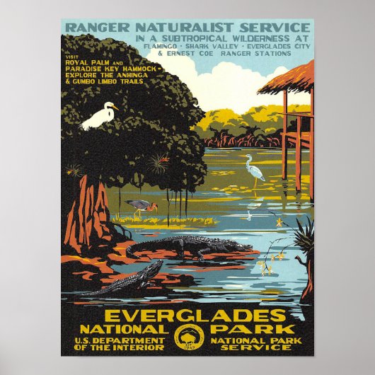 Everglades Poster (Voorkant)