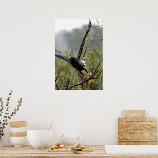 Everglades Snagelsteen #1 afdruk Poster (Keuken)