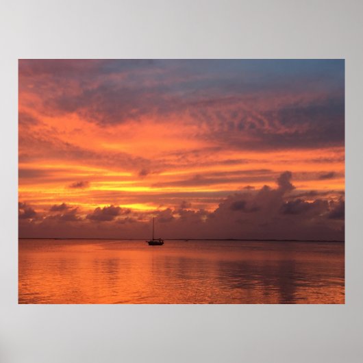 Everglades Sunset Poster (Voorkant)