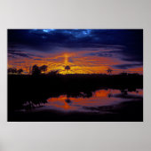 Everglades Sunset Poster (Voorkant)