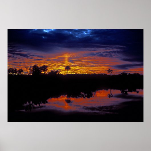 Everglades Sunset Poster (Voorkant)