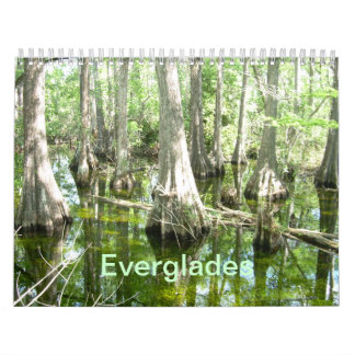 Everglades wandkalender kalender