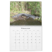 Everglades wandkalender kalender (Feb 2026)