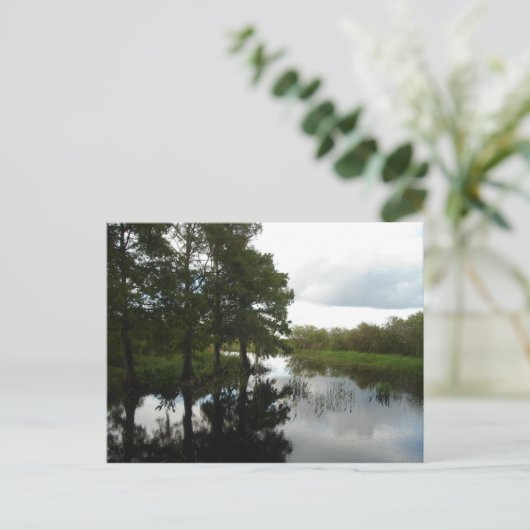 Everglades Waterway Briefkaart (Staand voorkant)