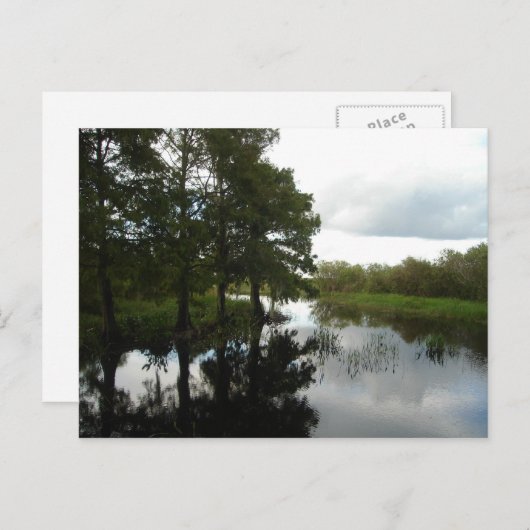 Everglades Waterway Briefkaart (Voorkant / Achterkant)