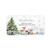 Evergreen Animal Winter Nederland Adres