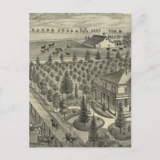 Evergreen Ave Boerderij Briefkaart (Voorkant)