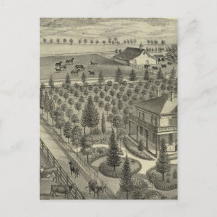 Evergreen Ave Boerderij Briefkaart