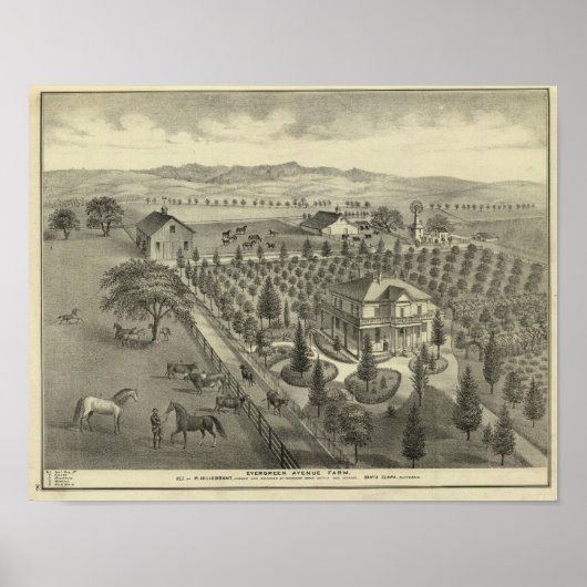 Evergreen Ave Boerderij Poster (Voorkant)