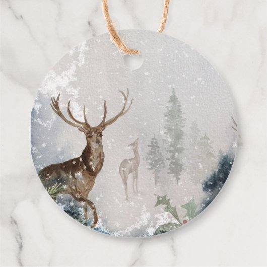 Evergreen Baby heeft zijn koude buitenste baby sho Bedankjes Labels (Achterkant)