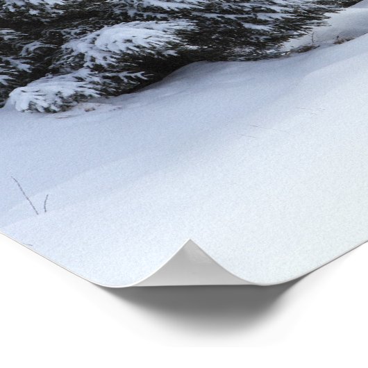 Evergreen bomen en weg in sneeuw poster (Hoek)