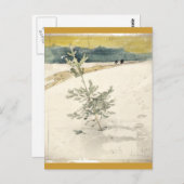 Evergreen Briefkaart (Voorkant / Achterkant)