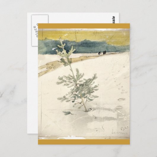 Evergreen Briefkaart (Voorkant / Achterkant)