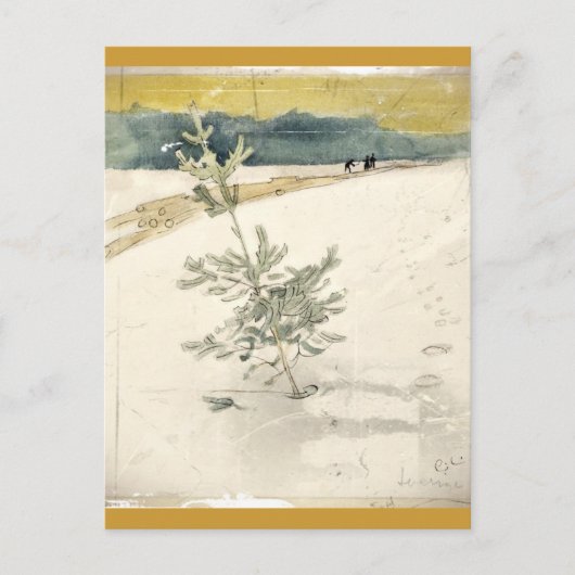 Evergreen Briefkaart (Voorkant)