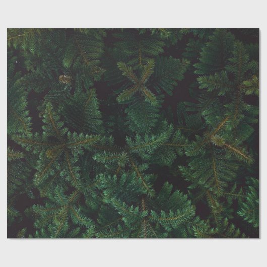 Evergreen Cadeaupapier (Vlak)